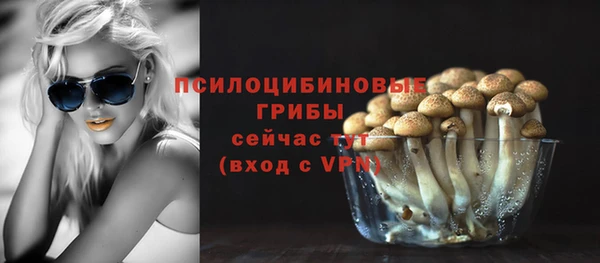 трава Беломорск