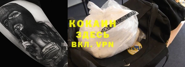 стаф Белокуриха