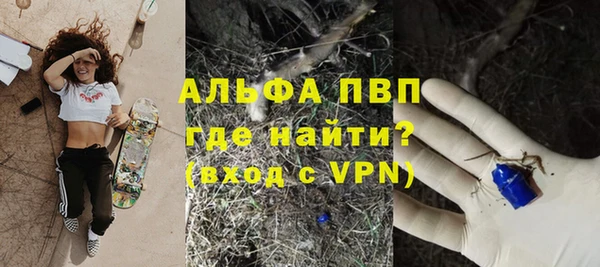 стаф Белокуриха