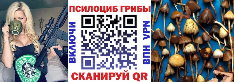 где купить наркотик  Бугульма  Псилоцибиновые грибы MAGIC MUSHROOMS 
